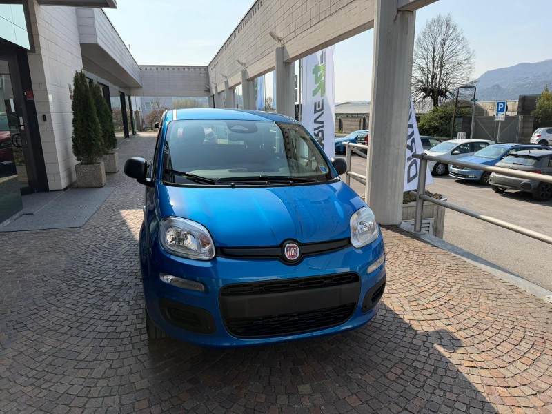 FIAT Pandina